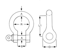 Stainless Steel Bow Shackle