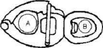 Wichard HR Snap Shackles