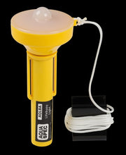 Horseshoe Set with LED Light