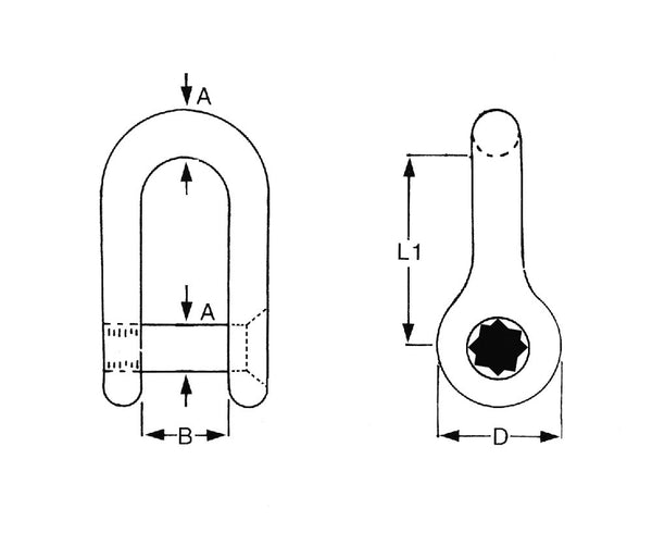 Stainless Steel D Allen Key Shackle