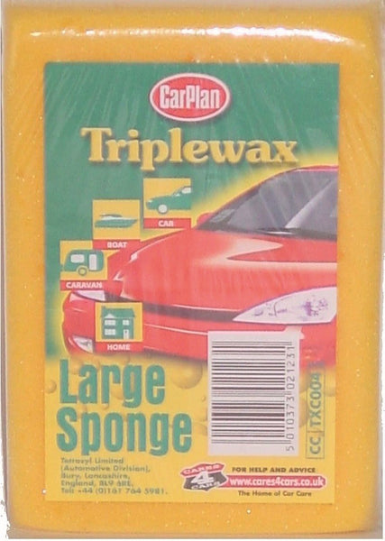 Large Sponge