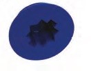 Easy Water Filler Cap Blue