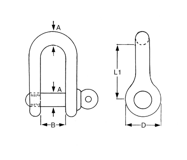 Stainless Steel D Shackle