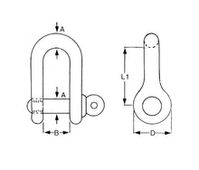 Stainless Steel D Shackle